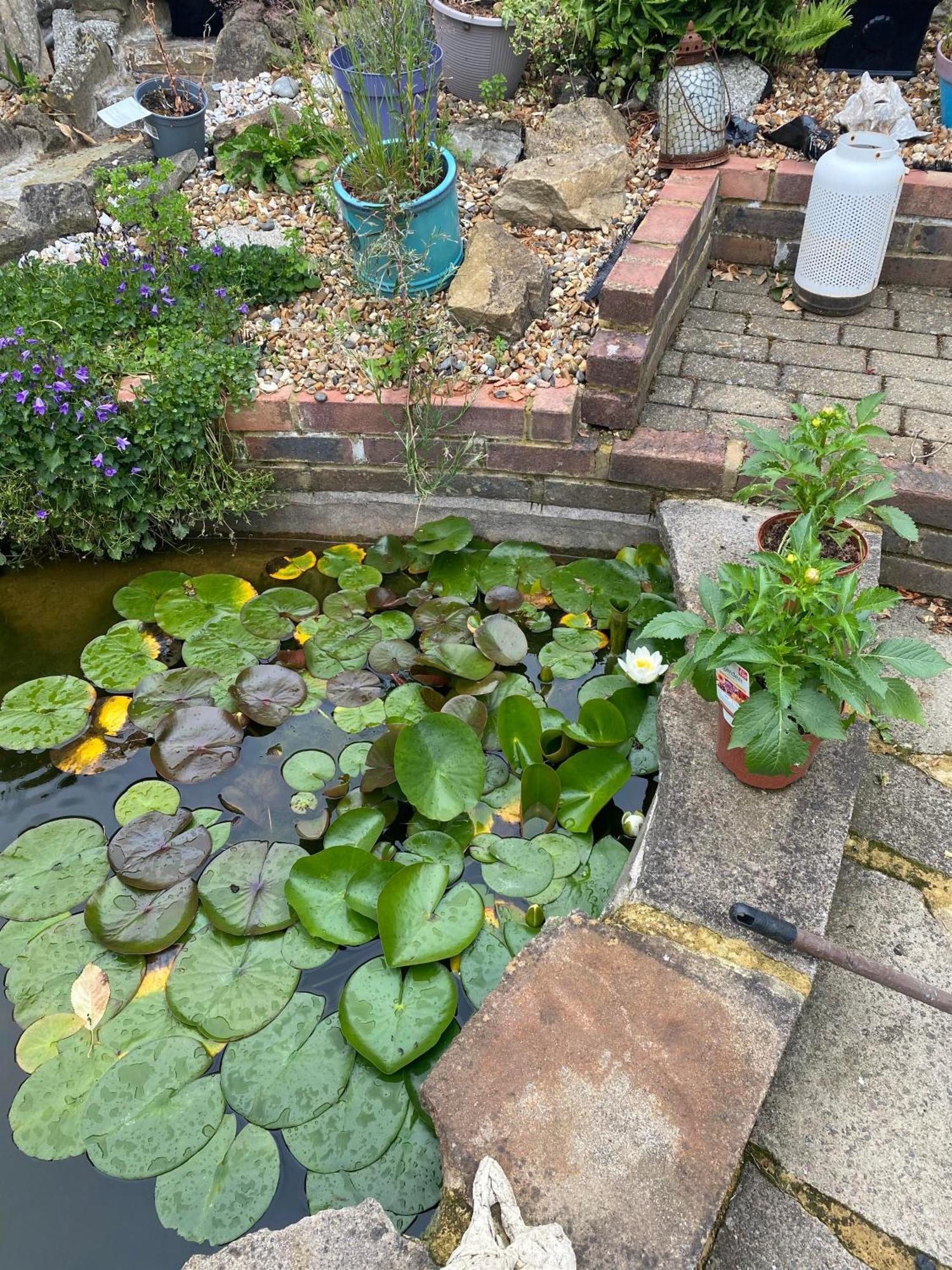 Pond Cottage Purley Exteriér fotografie